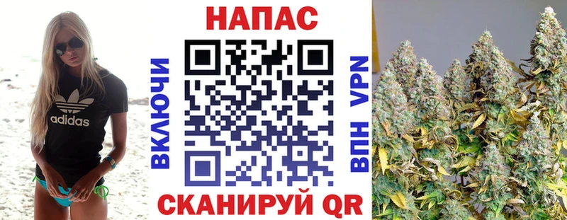 Конопля LSD WEED  Приморск 
